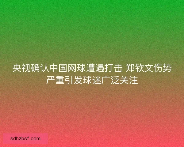 央视确认中国网球遭遇打击 郑钦文伤势严重引发球迷广泛关注
